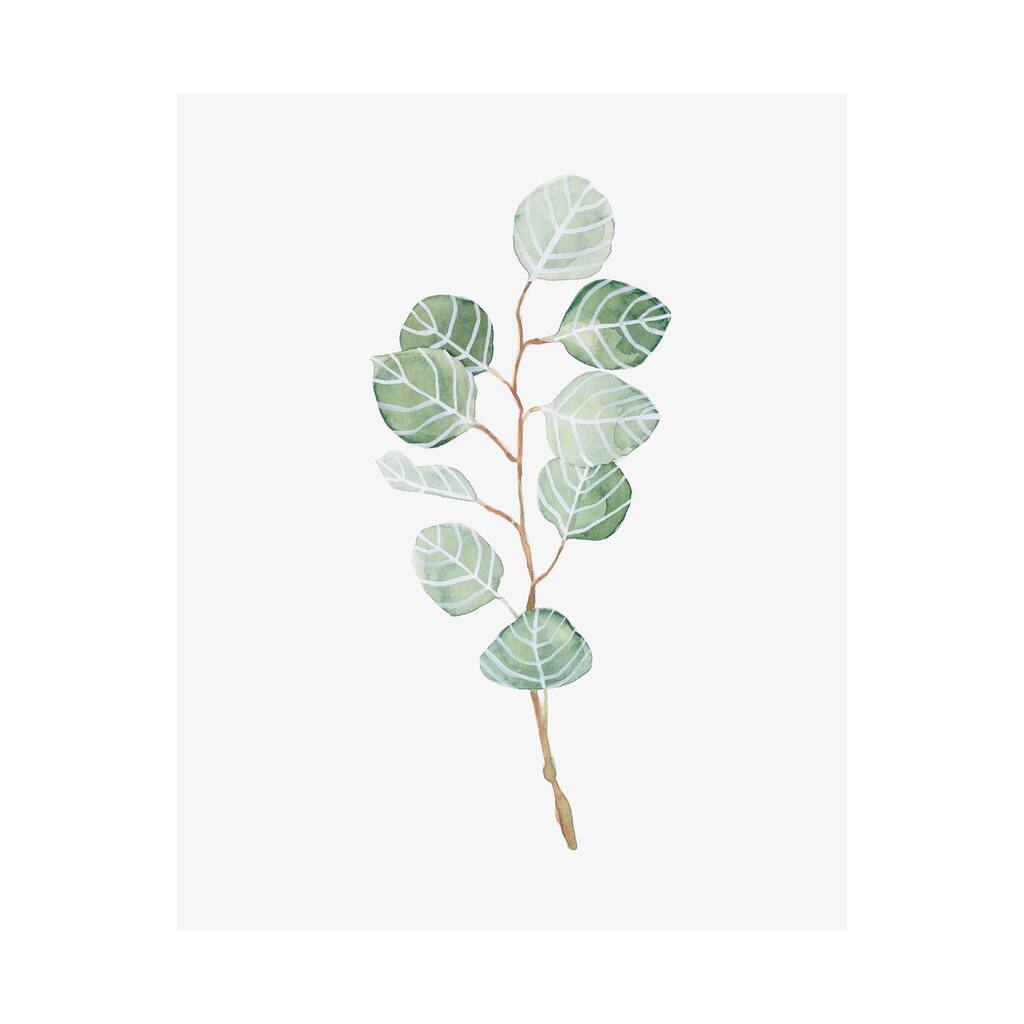 Soft Eucalyptus Branch III (40 x 50) Canvas Art Print