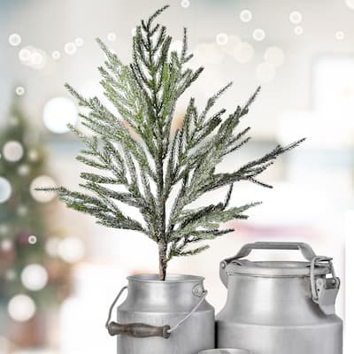 30" Iced Garden Norfolk Pine Branch Set of 3