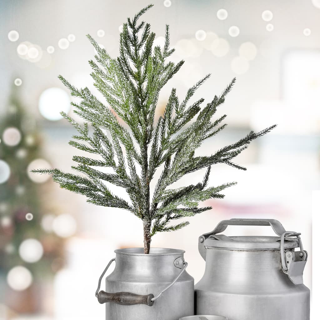 30" Iced Garden Norfolk Pine Branch Set of 3