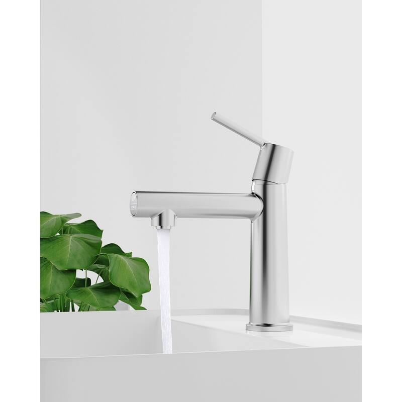 Single Handle Bathroom Faucet with Deck For 1 or 3 Holes,Laundry Vanity Sink Faucet with Two 9/16" Hoses