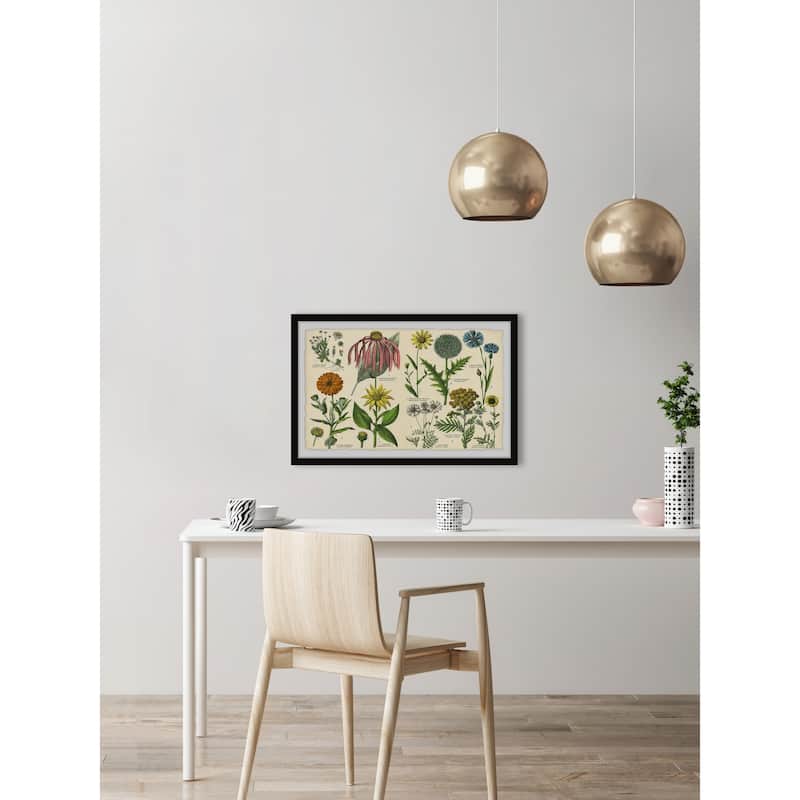 Southern Globethistle Framed Print