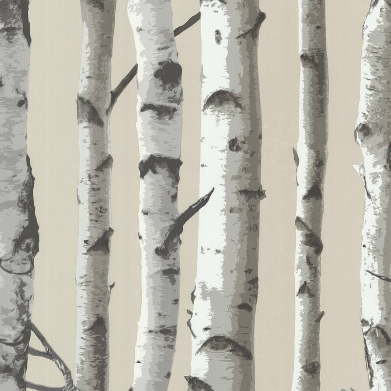 Botanical Dolan Irvin Grey Birch Tree 33' L X 20.5" W Wallpaper Roll - Grey