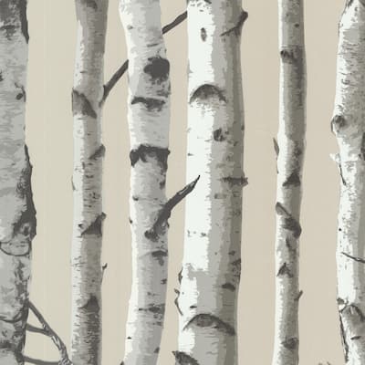 Botanical Dolan Irvin Grey Birch Tree 33' L X 20.5" W Wallpaper Roll