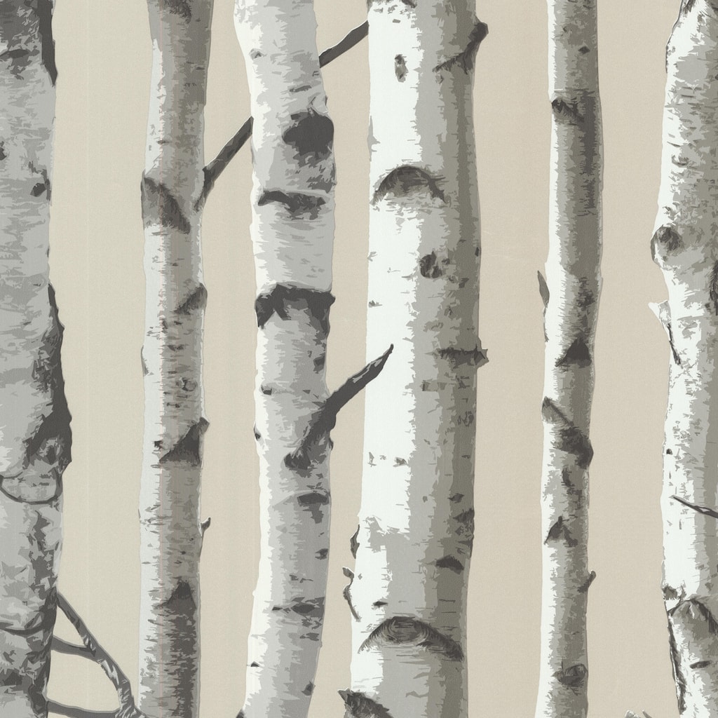 Botanical Dolan Irvin Grey Birch Tree 33' L X 20.5" W Wallpaper Roll