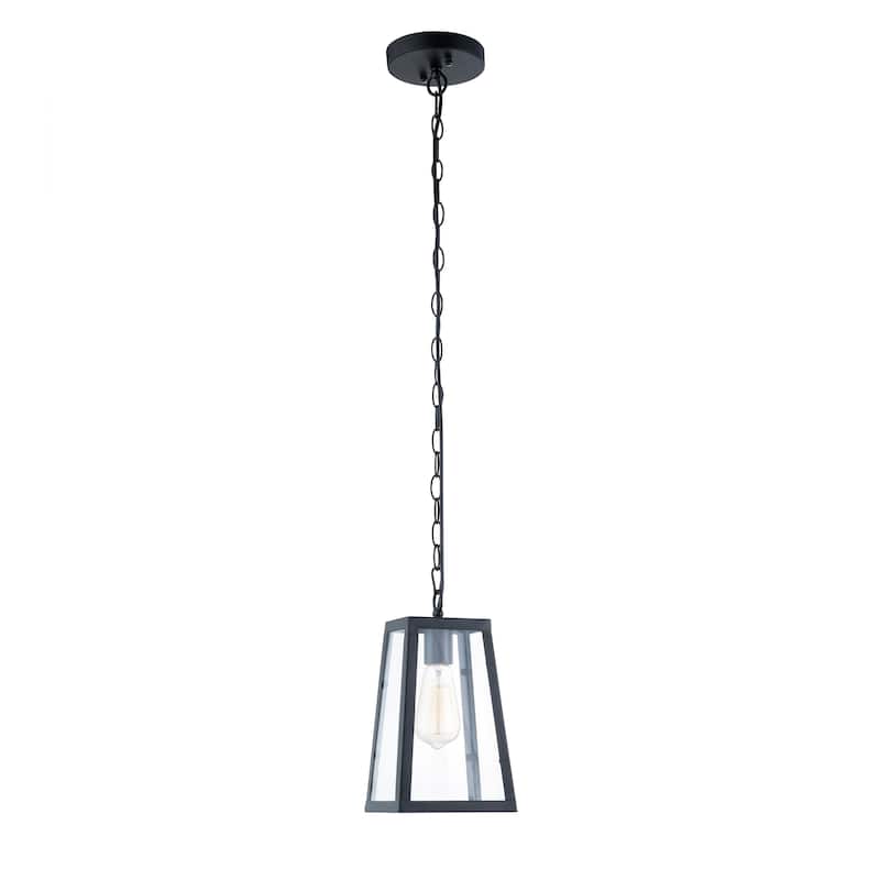 Light Society Serendipity Black/Clear Glass/Iron/Metal Pendant Lamp