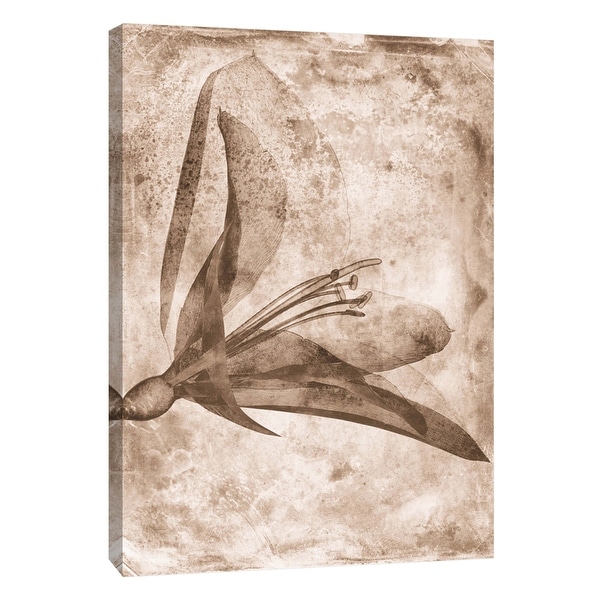 PTM Images 9-105793 PTM Canvas Collection 10" x 8" - "Sepia Flower Inversions 2" Giclee Flowers Art Print on Canvas