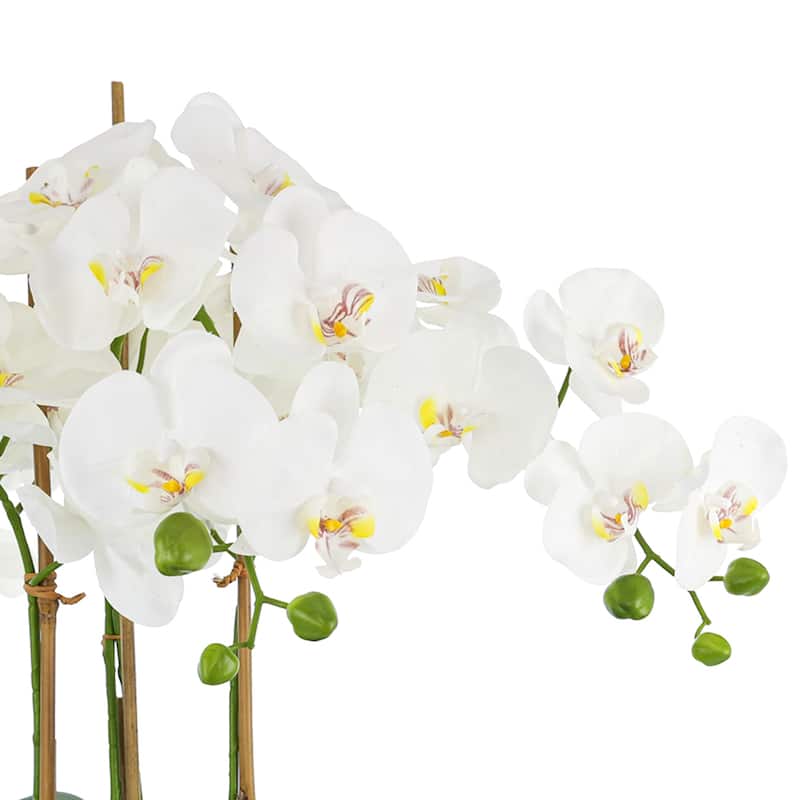 Orchids and Bamboo in a Clear Oblong Glass Vase - White