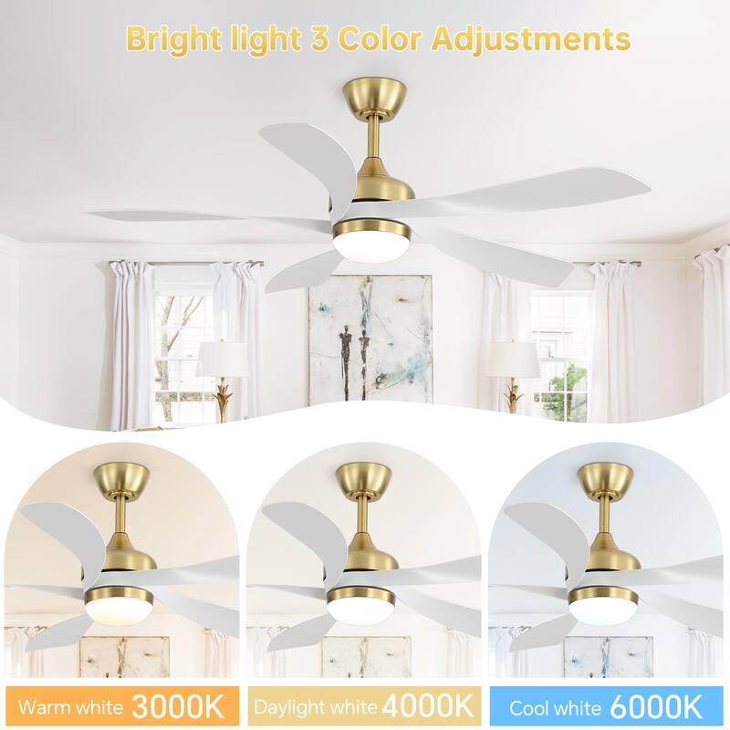 52-Inch Ceiling Fan with Light - Dimmable with Memory Function, DC Reversible Motor, Includes Remote Control