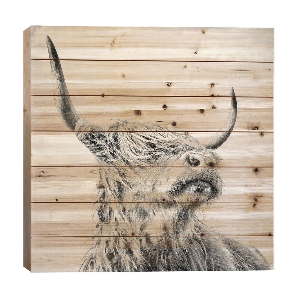 Magnificence I Print On Wood by Mark Gemmell - Multi-Color
