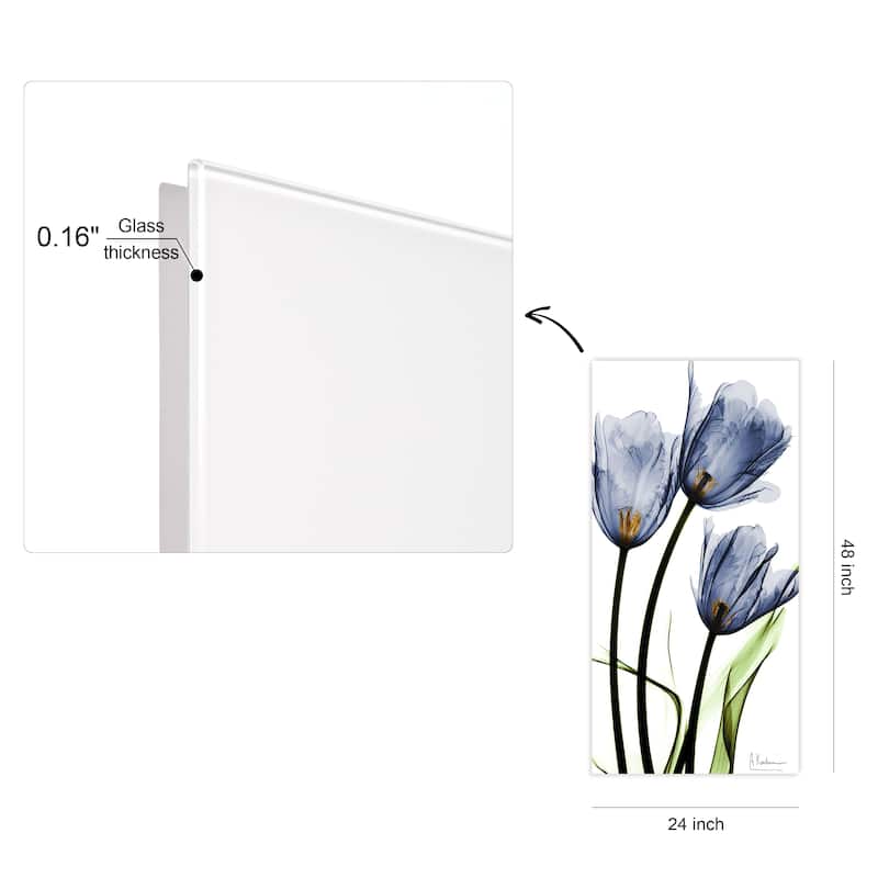 "Three Blue Tulips" Frameless Free Floating Tempered Glass Panel Graphic Wall Art