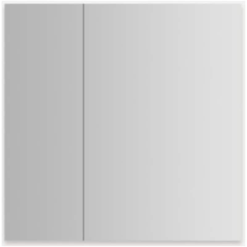 Robern MR3030D4FPE0 M Series Reserve 29-1/4" x 30" Frameless Double