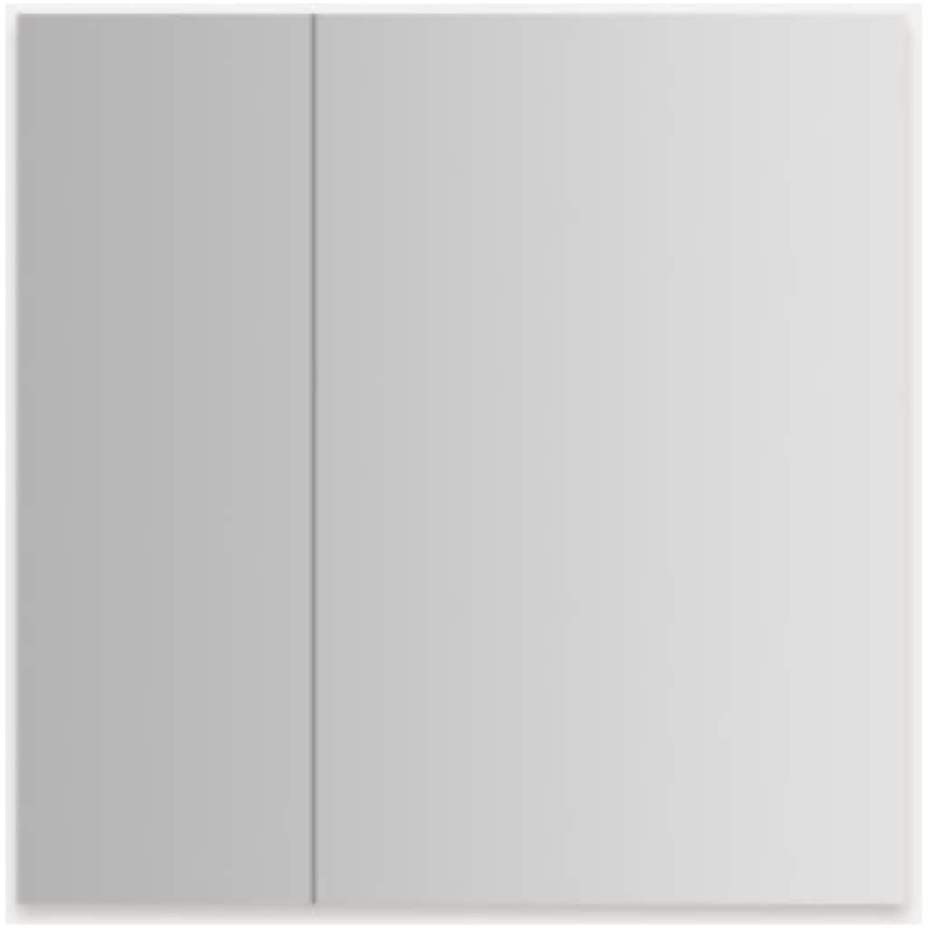 Robern MR3030D4FPE0 M Series Reserve 29-1/4" x 30" Frameless Double