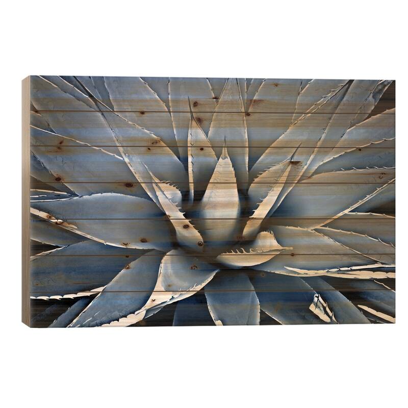 Indigo Succulent III Print On Wood by Mia Jensen - Multi-Color - 18x26x1.5