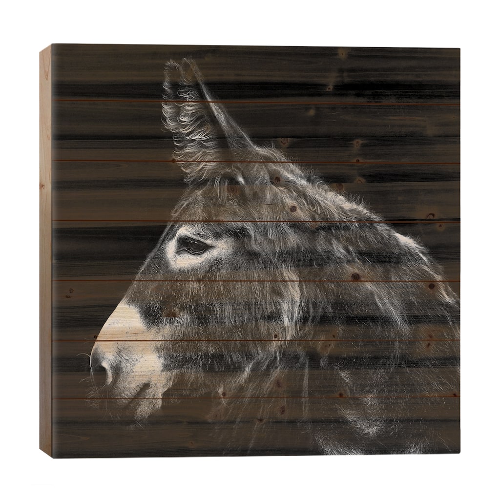 Donkey Portrait I Print On Wood by PHBurchett - Multi-Color