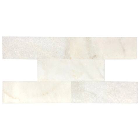 Pale Gray 3"x9" Polished Tile (1 Box/4.50 sqft)