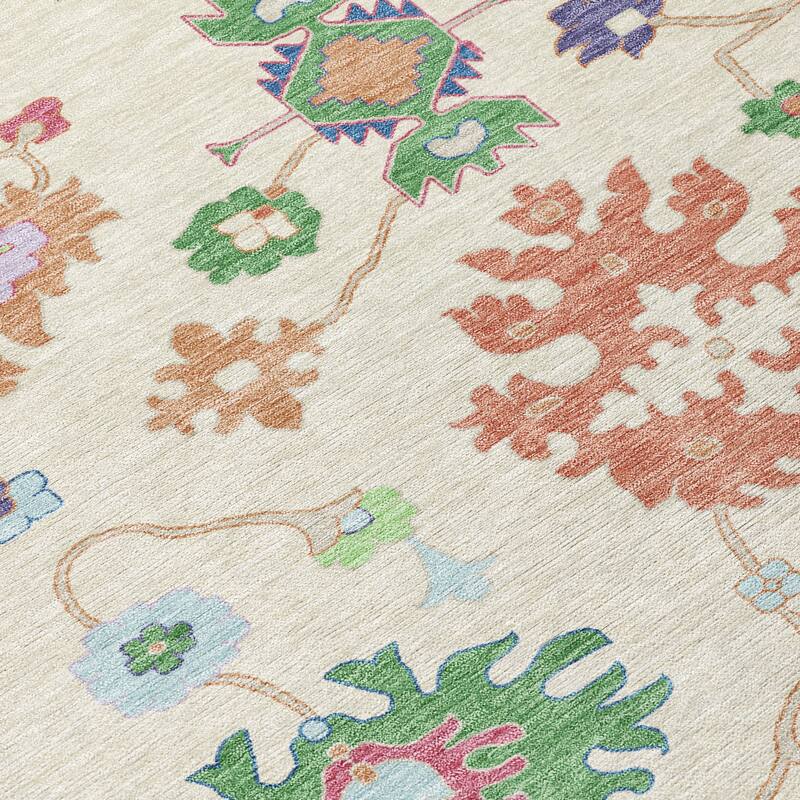 Machine Washable Indoor/ Outdoor Traditonal Delhi Chantille Rug