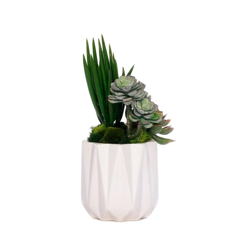 Succulent Arrangement in White Metal Pot - Green
