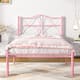 Option Pink