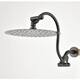 Option Oil Rubbed Bronze