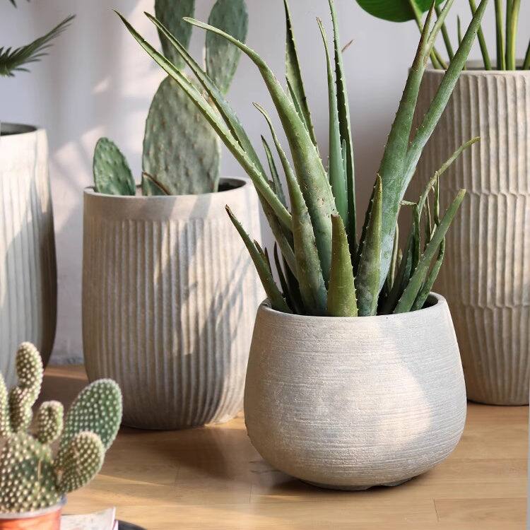 RusticReach Rustic Globe Cement Planter