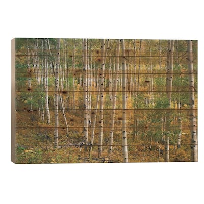 Quaking Aspen Forest, Colorado I Print On Wood by Tim Fitzharris - Multi-Color