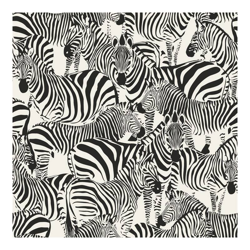 Origin Jemima Black Zebra Wallpaper - 20.5 x 396 x 0.025