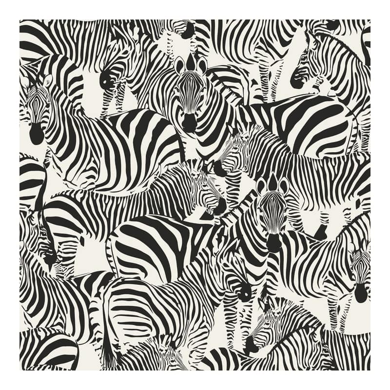Origin Jemima Black Zebra Wallpaper - 20.5 x 396 x 0.025