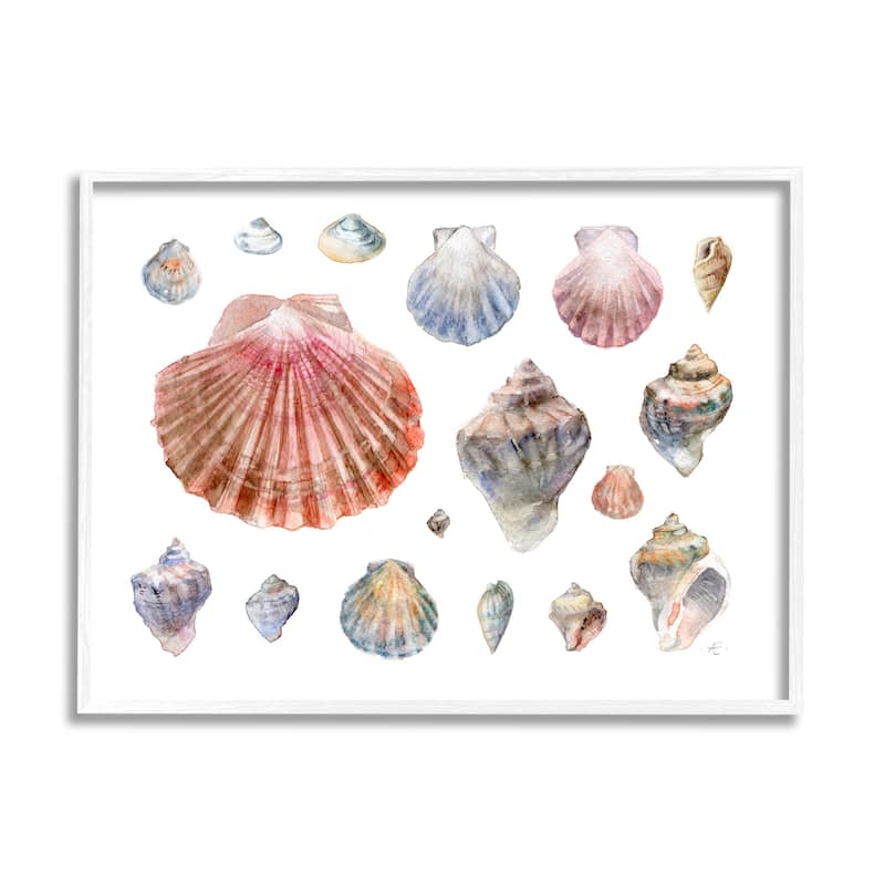 Stupell Nautical Shell Watercolor Study Patterned Aquatic Life Framed Wall Art - Multi-Color - 24 x 30 - White