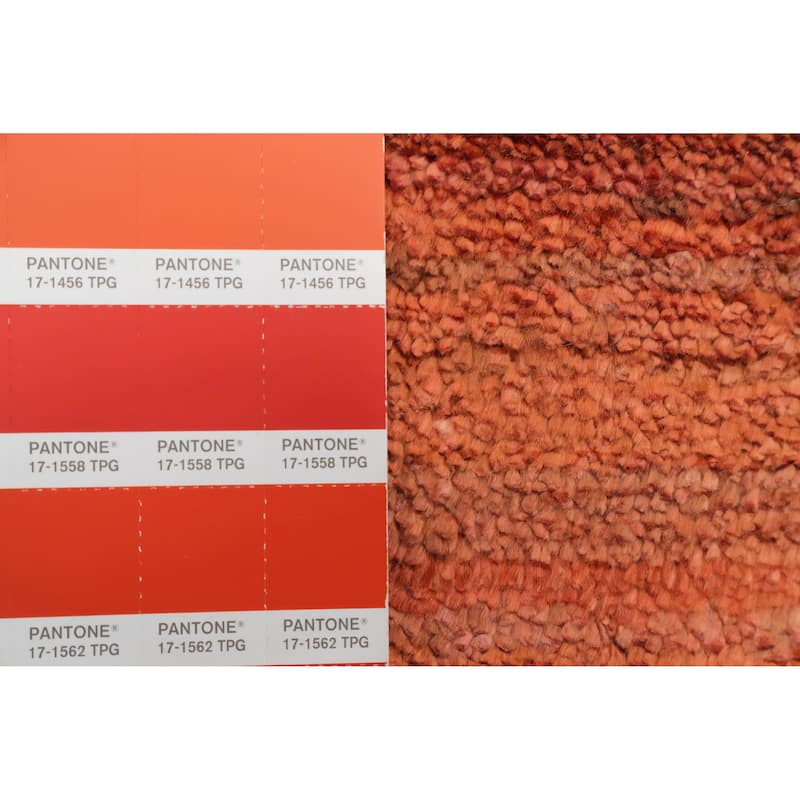 Hand Knotted Oriental Viscose Silk Carpet Tribal Animal Pictorial Oranges & Rust Gabbeh Area Rug - 11' 8'' X 8' 2''