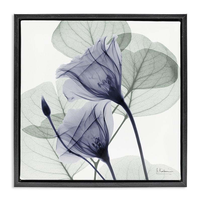 Stupell Serene Tulips & Herbs Framed Floater Canvas Wall Art Design By Albert Koetsier - 25 x 25 - Black