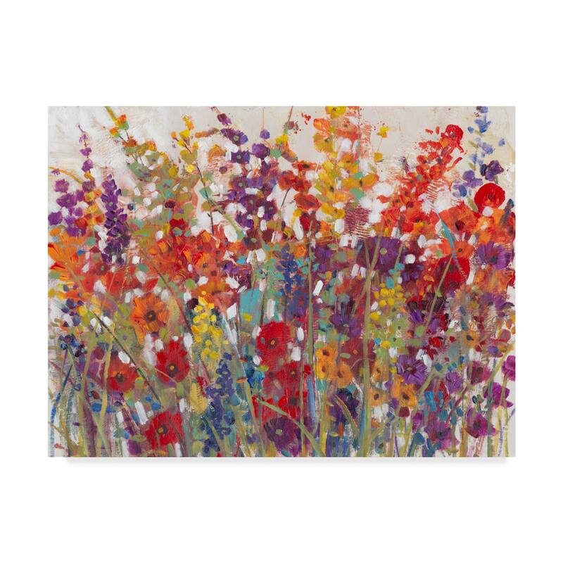 Tim Otoole 'Variety Of Flowers Ii' Canvas Art
