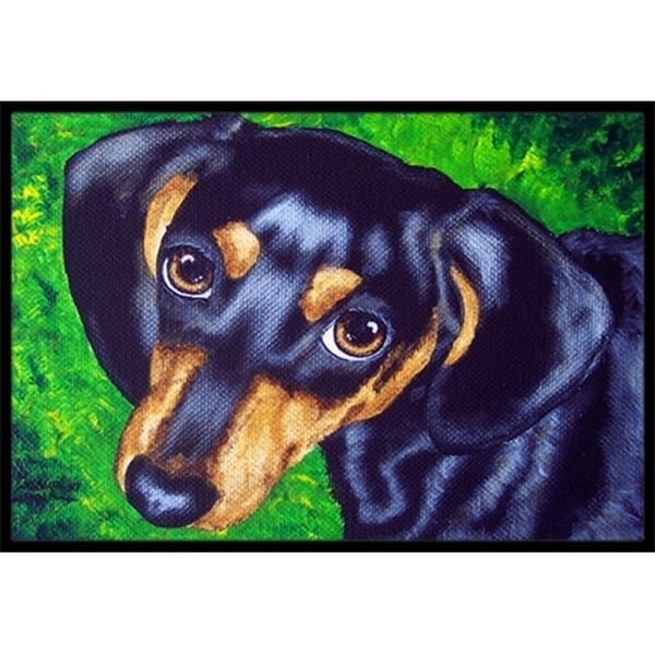 Carolines Treasures AMB1173JMAT Tootsie Dachshund Indoor or Outdoor Mat 24 x 36