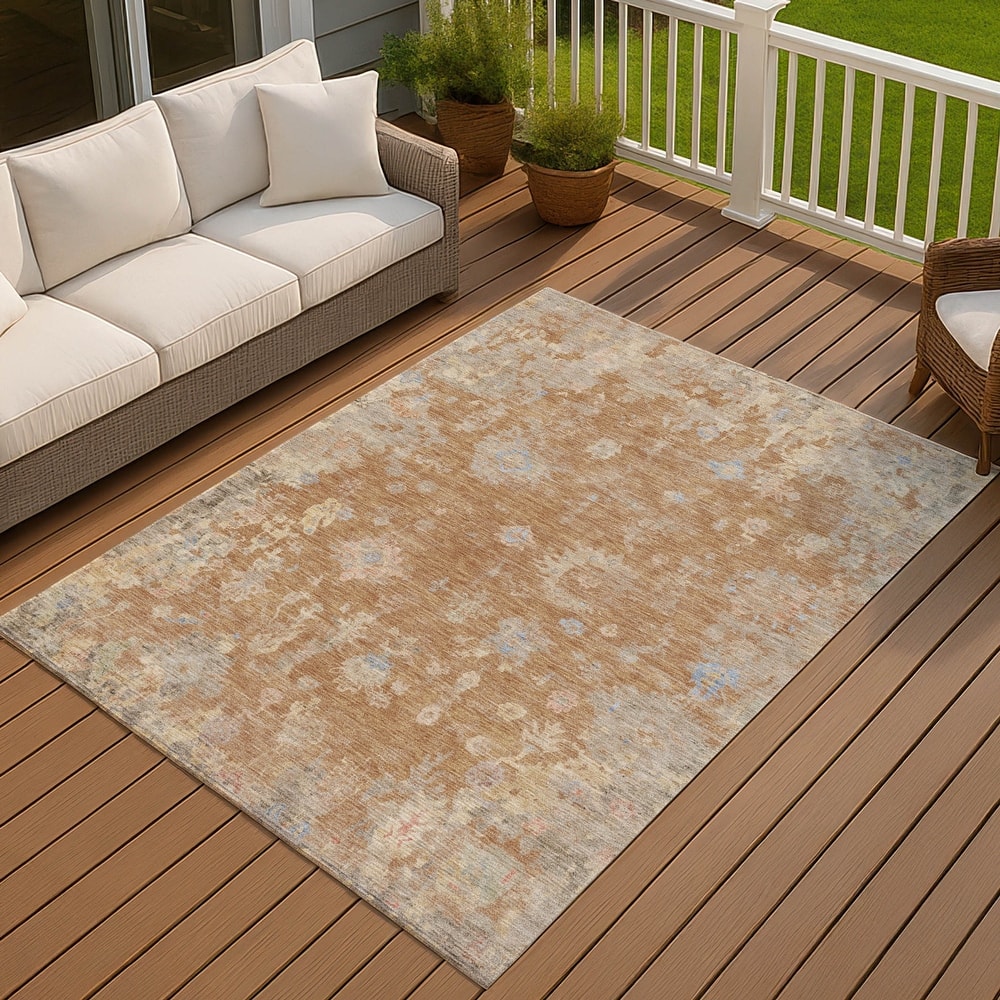 Machine Washable Indoor/ Outdoor Vintage Traditional Chantille Rug