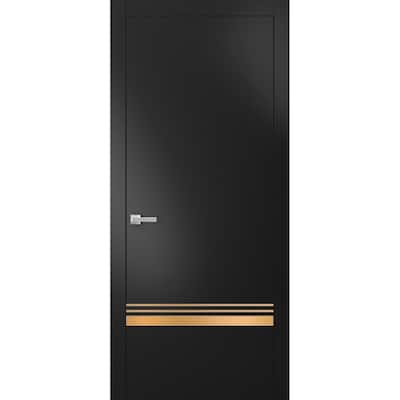 Solid French Door 18 x 80 Planum 2010 Matte Black with| Bathroom