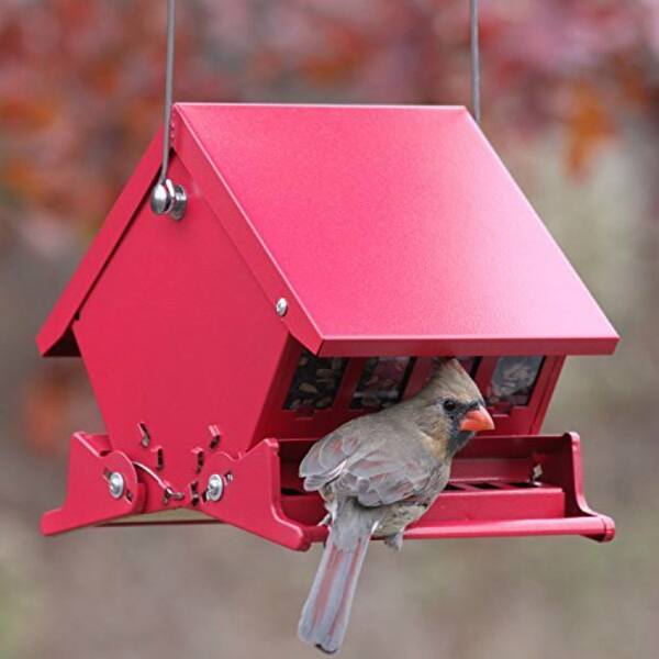 Mini Audubon 7458 4 Lb Capacity Squirrel Proof Bird Feeder Mini Audubon 7458 4 Lb Capacity Squirrel Proof Bird Feeder