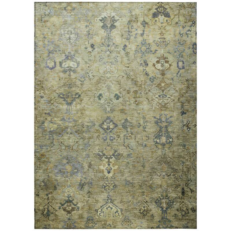 Machine Washable Indoor/ Outdoor Traditional Serenity Chantille Rug