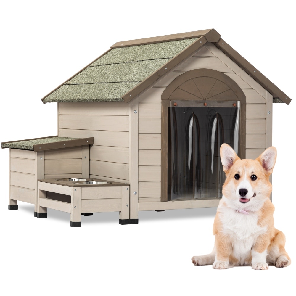 Box dog deals house