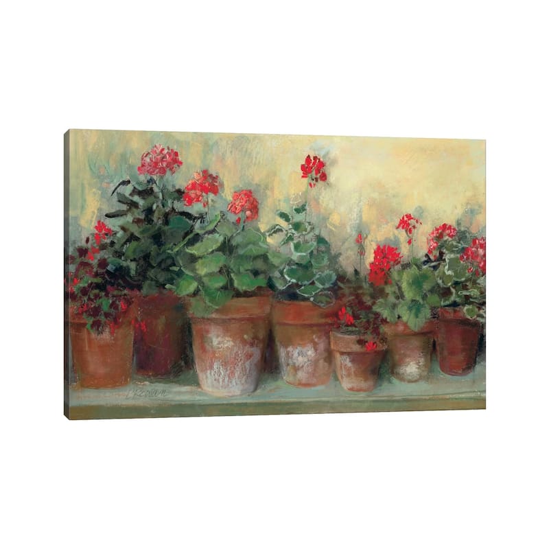 iCanvas "Kathleen's Geraniums" by Carol Rowan Canvas Print