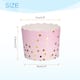 Option Gradient Pink