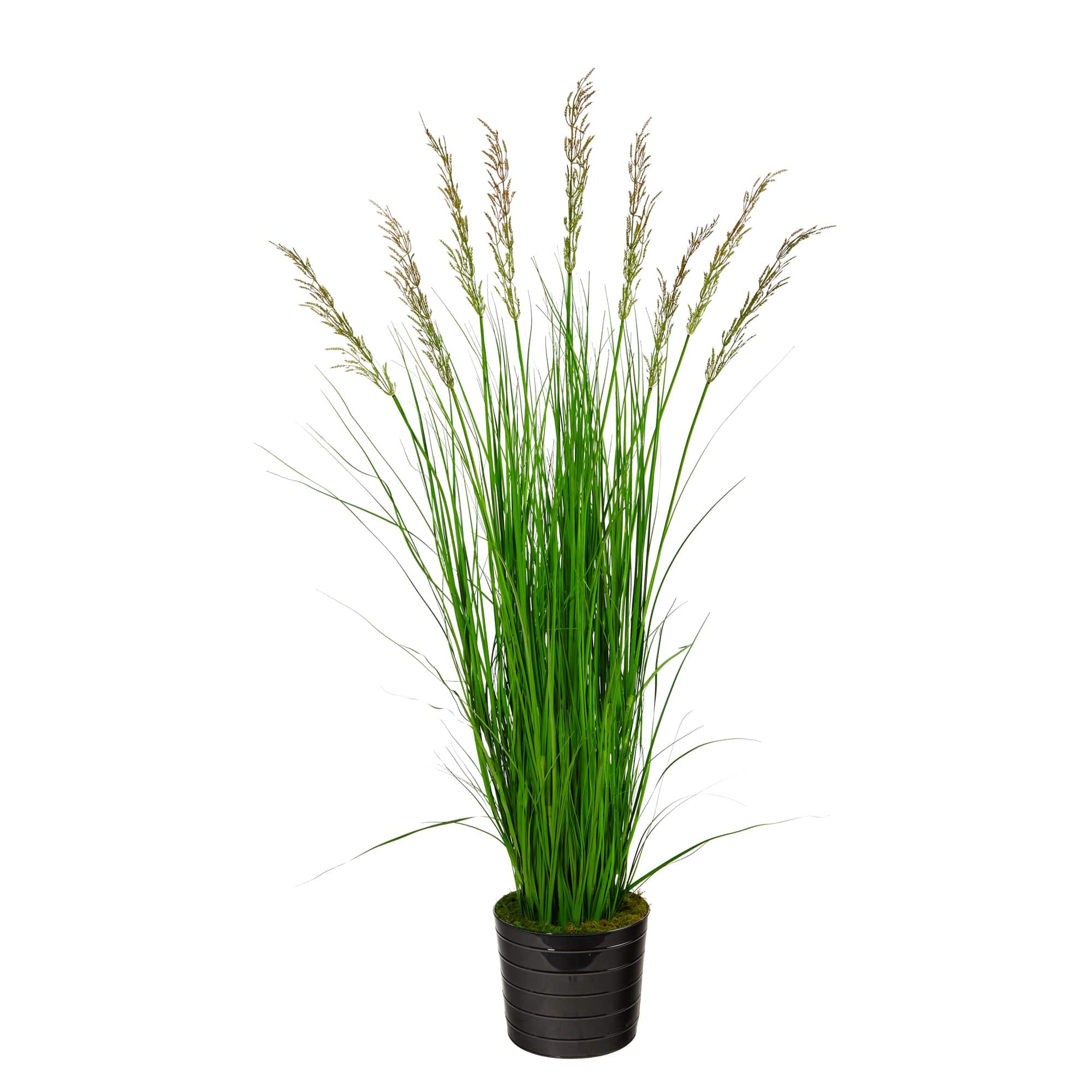 6' Grass Artificial Plant in Black Tin Planter - 10
