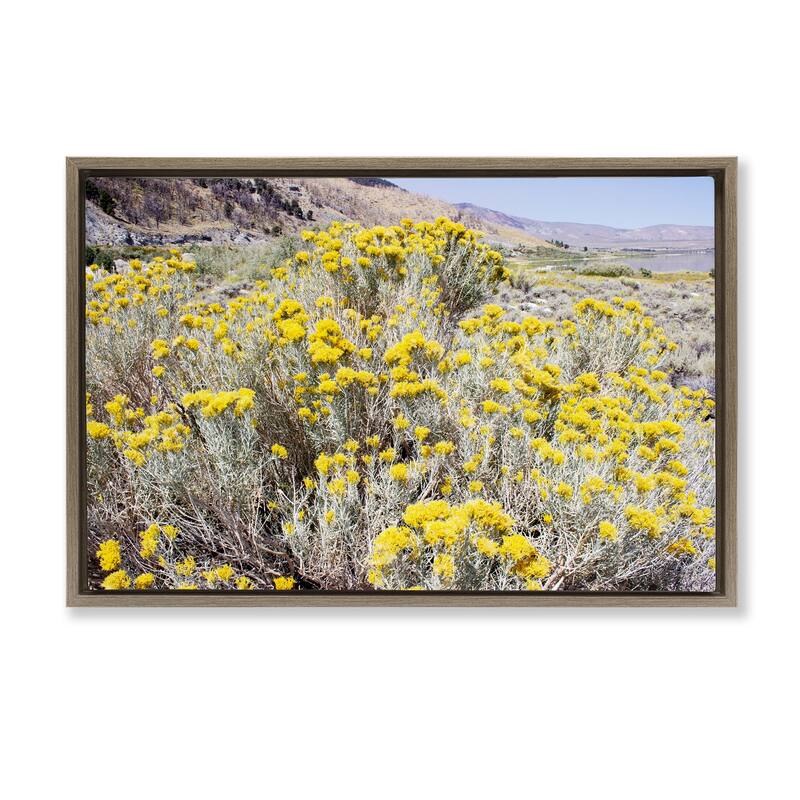 Stupell Yellow Flowers in Arid Meadow Framed Floater Canvas Wall Art Design By Gemma Bardot - 31 x 21 - Brown