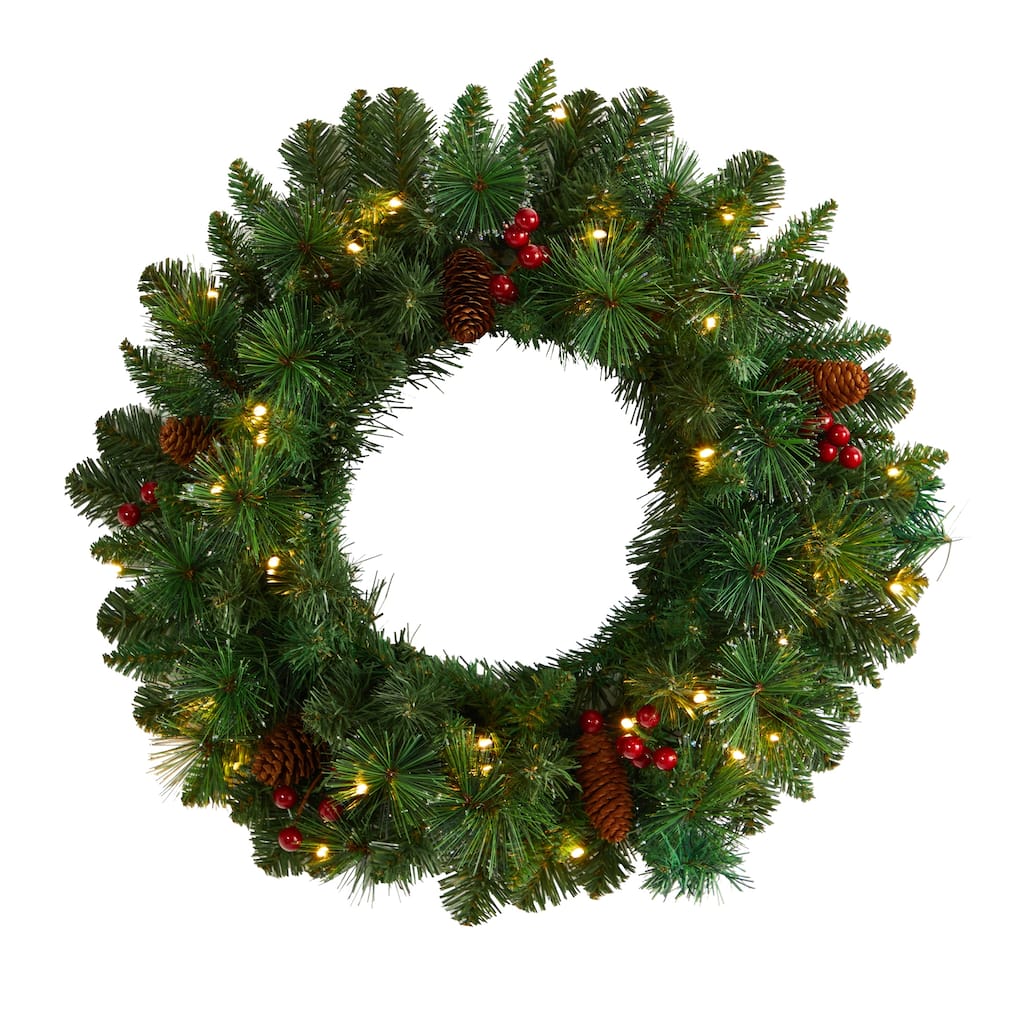 20" Frosted Pine Artificial Christmas Wreath - Green - 20