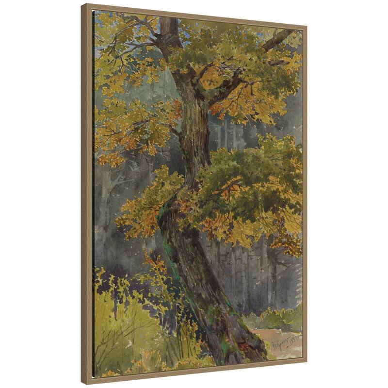 Kate and Laurel Study of Broadleaved Tree no date Friedrich Carl von Scheidlin by Nostalgia Prints Framed Canvas Wall Art Print - 23 x 33