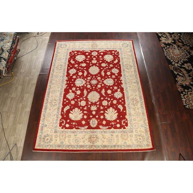Vegetable Dye Floral Ziegler Oriental Wool Area Rug Handmade Carpet - 10'1" x 13'8"