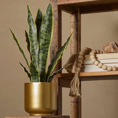 The Novogratz Green Faux Foliage Snake Imitative Artificial Plant with Gold or White Porcelain Pot