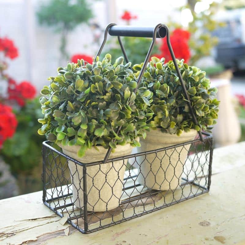 Artificial Topiary, Metal Basket - 8'6" x 13' - 8'6" x 13'