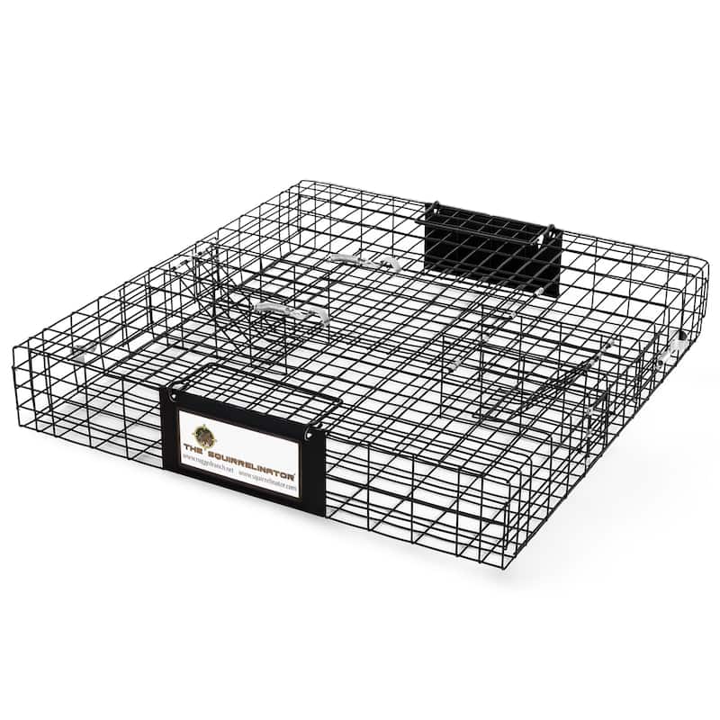 Rugged Ranch SQRTO Squirrelinator Trap CatchMor Live Animal 2 Door Metal Cage - 24.5 x 24.5 x 5 inches - 24.5 x 24.5 x 5 inches - Animal Control - Black