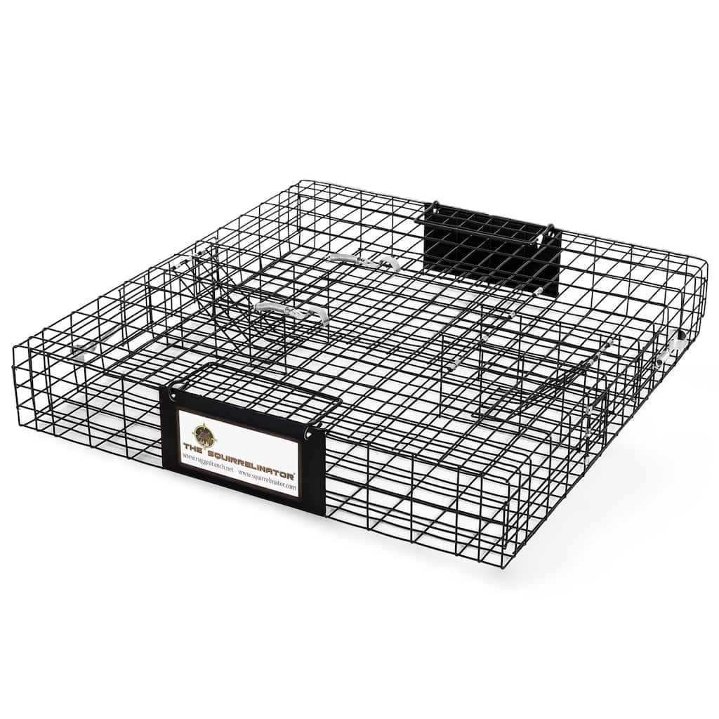 Rugged Ranch SQRTO Squirrelinator Trap CatchMor Live Animal 2 Door Metal Cage - 24.5 x 24.5 x 5 inches