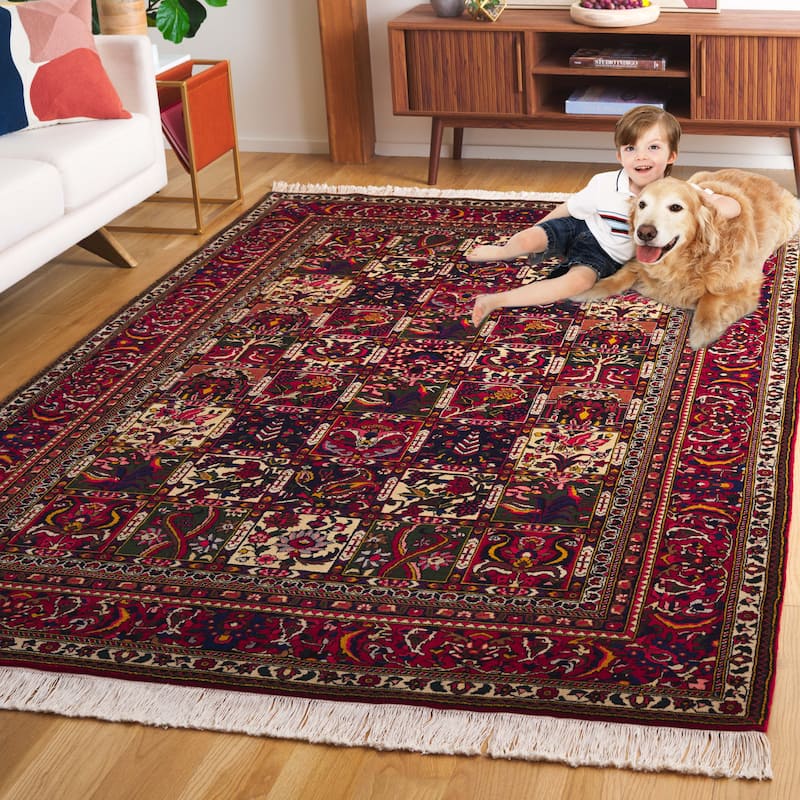 SAFAVIEH Handmade Fern Estie Traditional Oriental Wool Rug