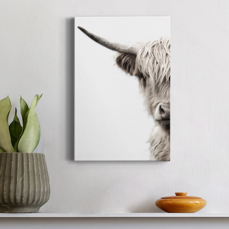 Highland Cattle Premium Gallery Wrapped Canvas - Ready to Hang